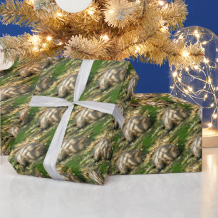 Ein Niedlicher Capybara-Traum im Sommer Geschenkpapier