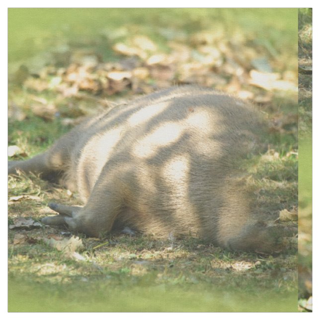 Ein Niedlicher Capybara-Traum im Sommer Stoff (Muster)
