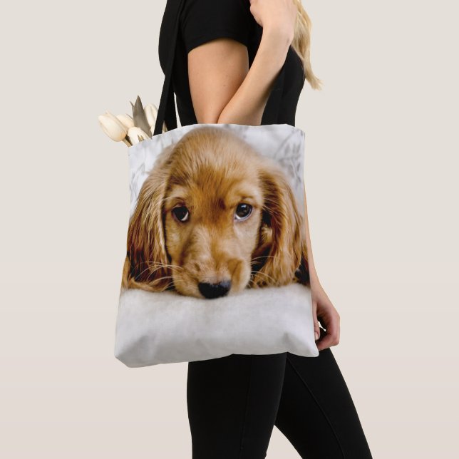 Ein niedlicher Cockerspaniel Tasche (Von Nahem)