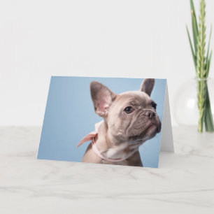 Ein Niedlicher französischer Bulldog Karte