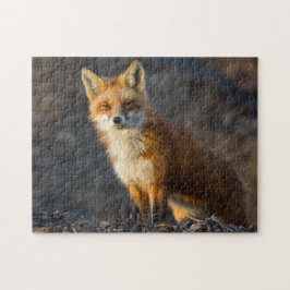 Ein Niedlicher kleiner Fuchs