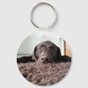 ein niedlicher Schokolade Labrador Welpe schlafen  Schlüsselanhänger