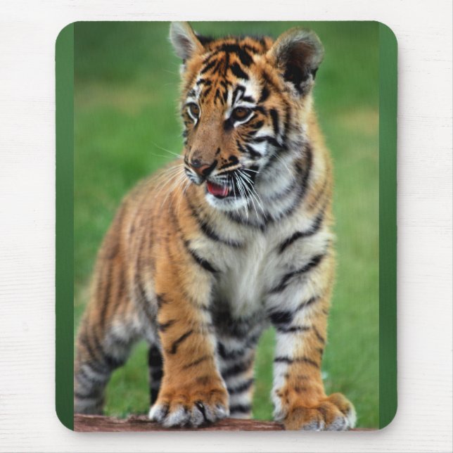 Ein niedlicher Tiger Mousepad (Vorne)