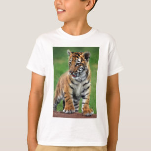 Ein niedlicher Tiger T-Shirt