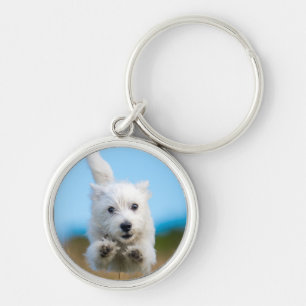 Ein niedlicher Westhochland-Terrier-Welpen-Betrieb Schlüsselanhänger