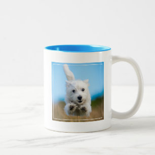 Ein niedlicher Westhochland-Terrier-Welpen-Betrieb Zweifarbige Tasse