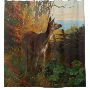 Ein Niedliches Hirsch im Wald Duschvorhang