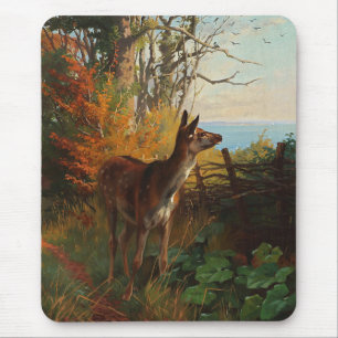 Ein Niedliches Hirsch im Wald Mousepad