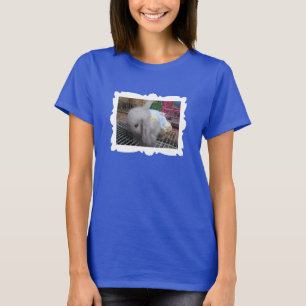 Ein Niedliches Kaninchen in einem Kleid Gerahmt T-Shirt