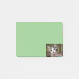 Ein niedliches Kätzchen mit grünen Augen Post-it Klebezettel