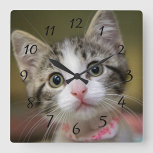 Ein niedliches Kätzchen mit grünen Augen Quadratische Wanduhr