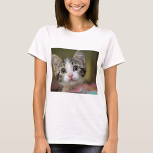 Ein niedliches Kätzchen mit grünen Augen T-Shirt