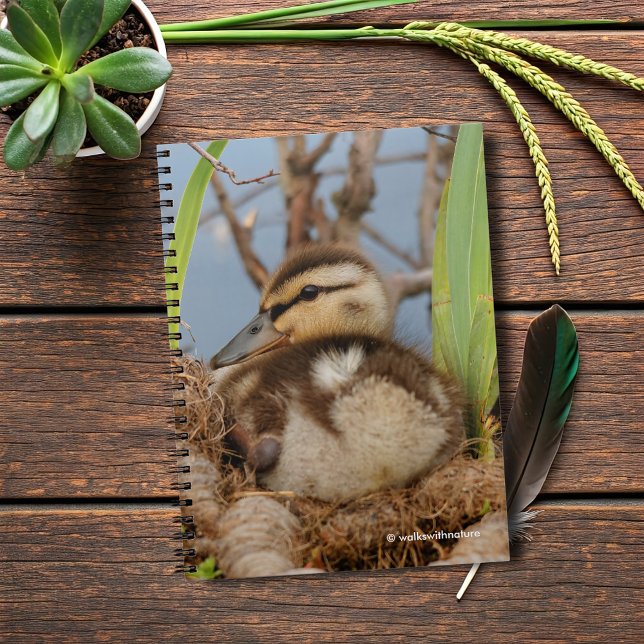Ein Niedliches und kostbares Mallard Duckling Notizblock (Mallard Gosling at the Pond Journal Cover Photo)