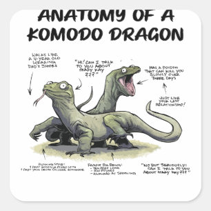 Ein nwaAnatomie eines Komodo-Drachen, des bärtigen Quadratischer Aufkleber