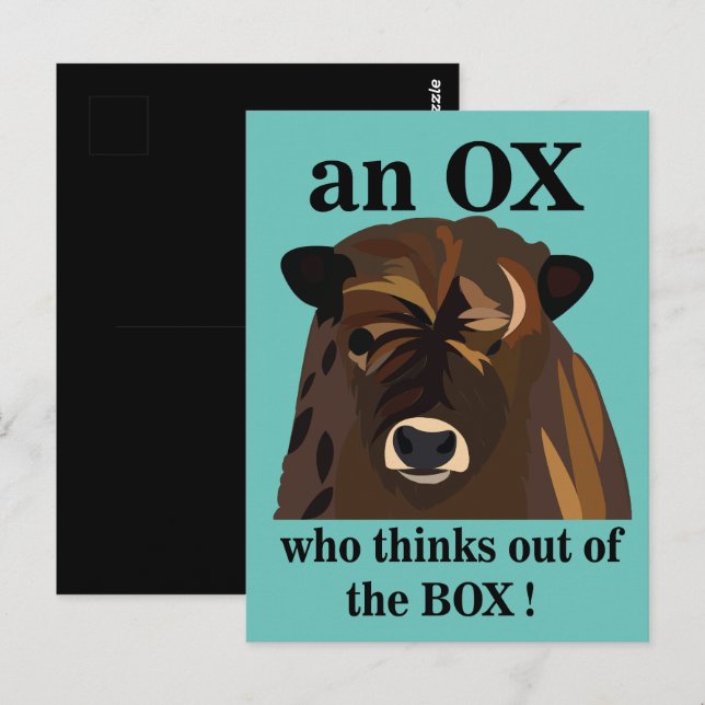 Ein Ochse, der aus der Schachtel denkt Postkarte (Vorne/Hinten)