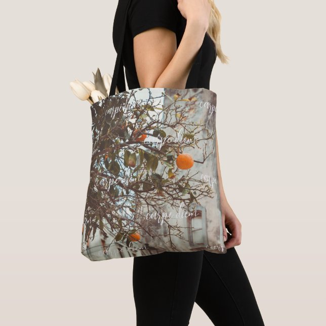 Ein Orangenbaum in einer romantischen Altstadt Tasche (Von Nahem)
