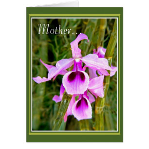 Ein Orchid für Mutter