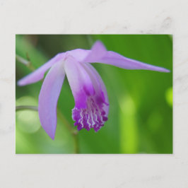 Ein Orchidee für Sie! Postkarte