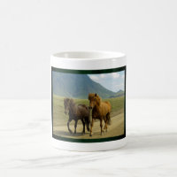 Ein Paar brauner isländischer Ponies Lanscape