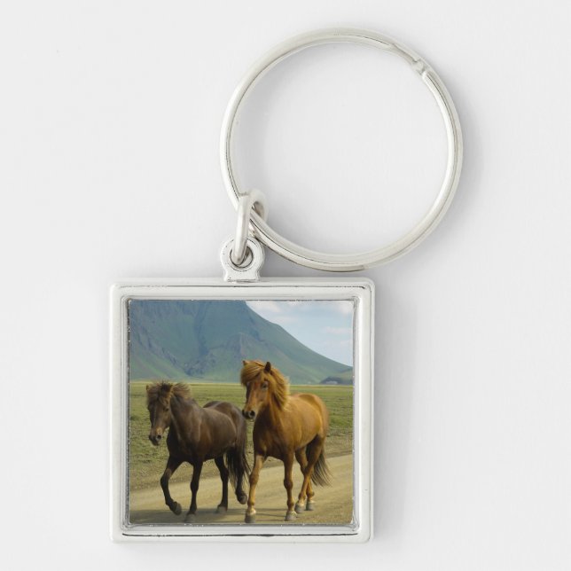 Ein Paar brauner isländischer Ponys Schlüsselanhänger (Vorne)