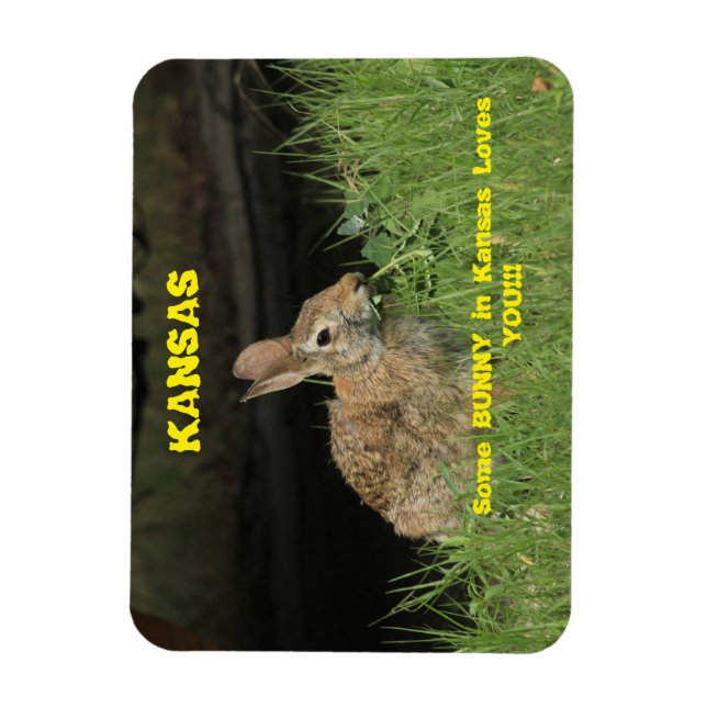 Ein paar Bunny in Kansas Lieben Sie Magnet. Magnet (Vertikal)