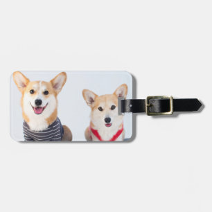 Ein Paar Corgis, die auf einer Bank sitzen Gepäckanhänger