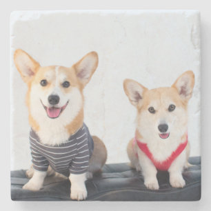 Ein Paar Corgis, die auf einer Bank sitzen Steinuntersetzer