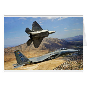 EIN PAAR DES RAUBVOGELS