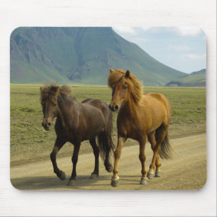 Ein Paar extravaganter brauner isländischer Ponys Mousepad