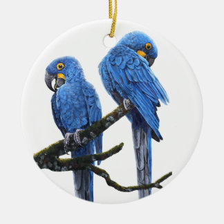 Ein Paar helle blaue HyazintheMacaws Keramikornament