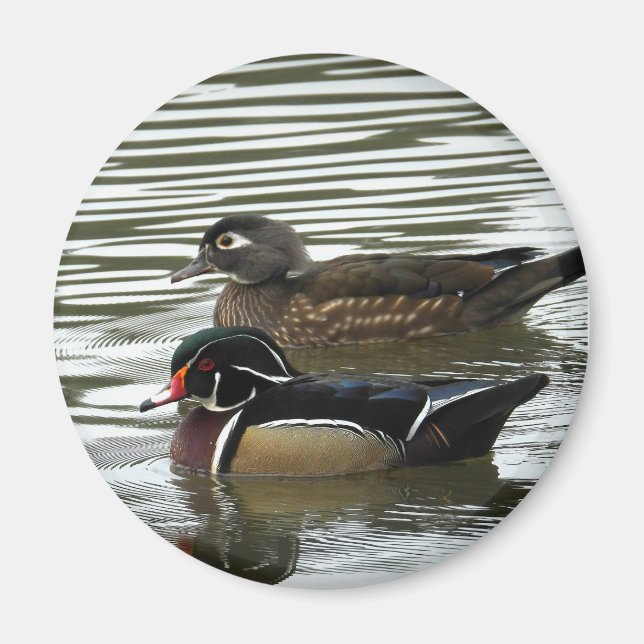 Ein Paar Holzenten Magnet (Vorne)