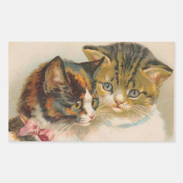 Ein Paar Kittens von Helena Maguire Aufkleber Shee (Vorderseite)