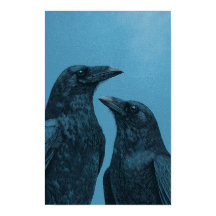 Ein Paar Krähen auf blauem Hintergrund