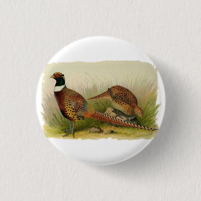Ein Paar necked Fasane des Ringes auf einem Button (Vorderseite)