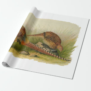 Ein Paar necked Fasane des Ringes auf einem Geschenkpapier