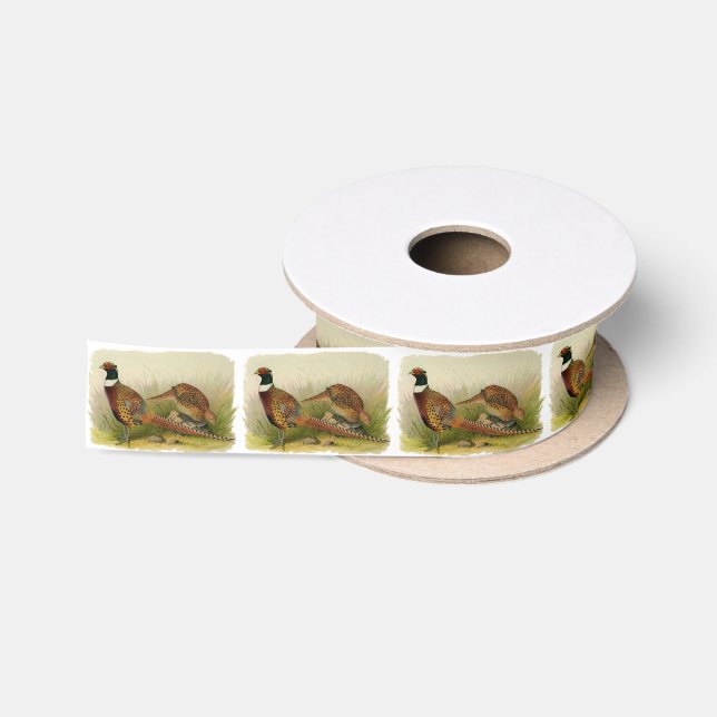 Ein Paar necked Fasane des Ringes auf einem Satinband (Spule)