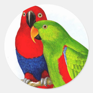 Ein Paar Papageien liebt Vögel Runder Aufkleber