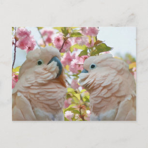 Ein Paar Papageien und Krabbenapfel blüht Postkart Postkarte