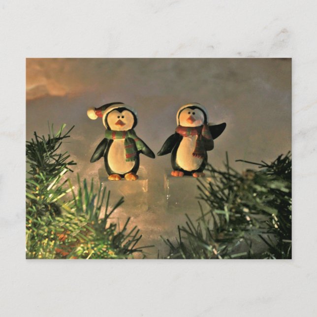 Ein Paar Pinguine Postkarte (Vorderseite)