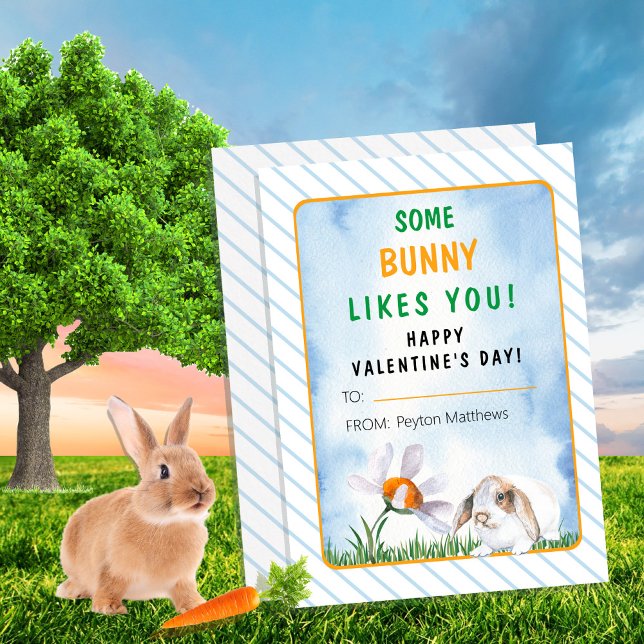 Ein paar Sonnenstrahlen mögen Sie Valentinstag. Einladung ("Some Bunny Likes You!" "Happy Valentine's Day!" Kid's Classroom Card)