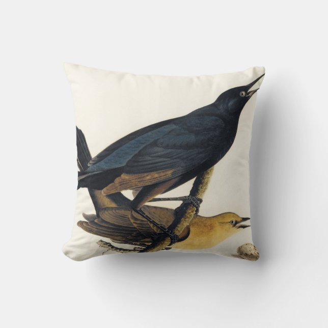 Ein Paar von Boot-Angebundenem Grackles Kissen (Vorderseite)