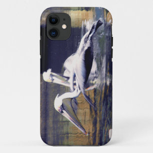 Ein Pelican startet title_seo2