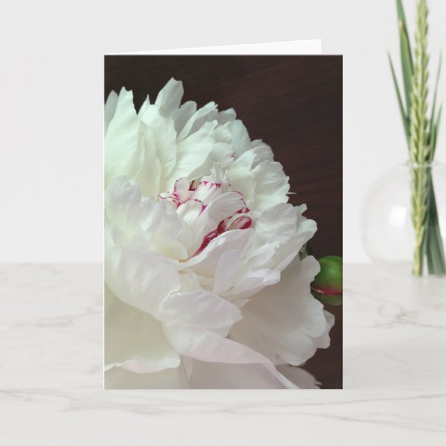 Ein Peony für Ihre Gedanken leere Note Card (Vorderseite)