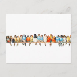 Ein Perch von Vögeln - Vintage Vogelbilder - Postkarte