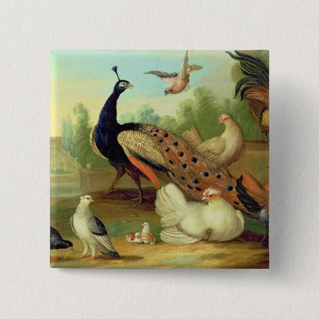Ein Pfau, Tauben, Hühner und ein Jay in einem Park Button (Vorderseite)