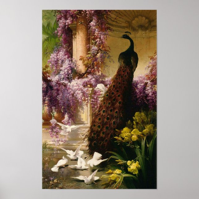 Ein Pfau und Tauben im Garten, Eugene Bidau Poster (Vorne)