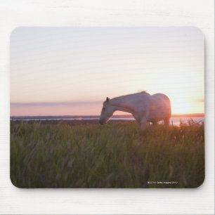 Ein Pferd auf einem Gebiet Mousepad