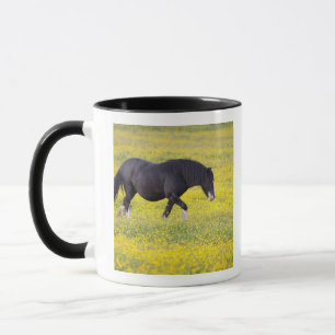Ein Pferd, das auf einem Gebiet der gelben Blumen Tasse