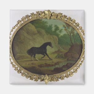 Ein Pferd, das von einer Schlange erschreckt wurde Magnet