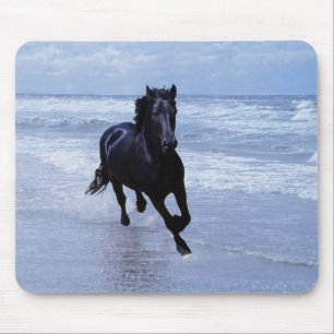 Ein Pferd frei und wild Mousepad